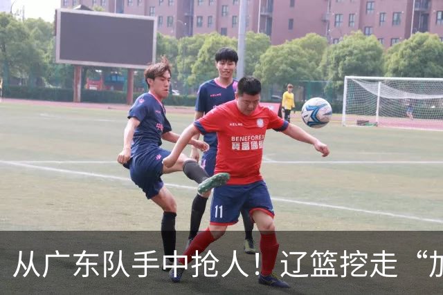 从广东队手中抢人！辽篮挖走“加强版杜润旺”，杜锋痛失锋线新星