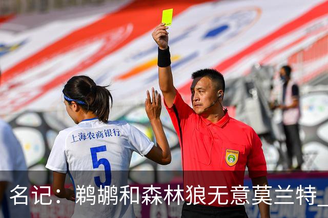 名记：鹈鹕&森林狼无意莫兰特 热火也不急于尝试其与字母哥的搭档