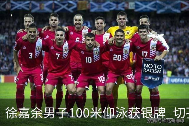 徐嘉余男子100米仰泳获银牌 切孔夺金