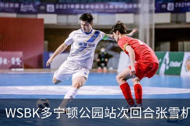 WSBK多宁顿公园站次回合张雪机车第十 德比斯车手榜第二